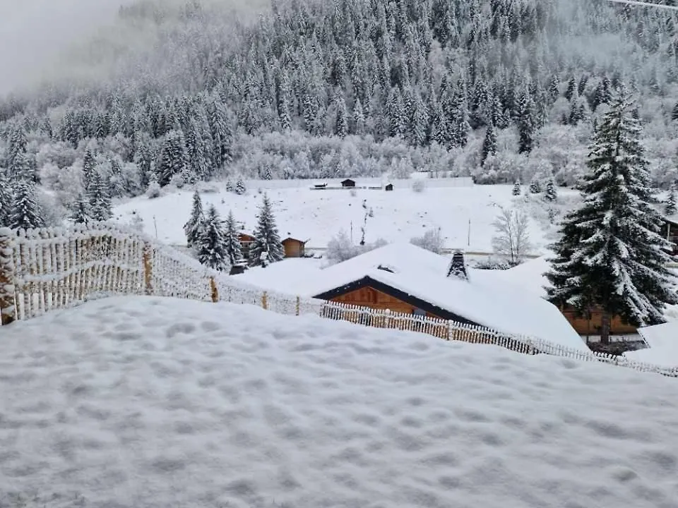 Apartment Appartement 6 Personnes Avec Jardin Chatel France